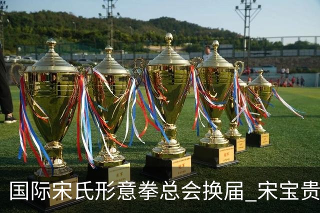 国际宋氏形意拳总会换届 宋宝贵连任会长持续推动武术海外传播