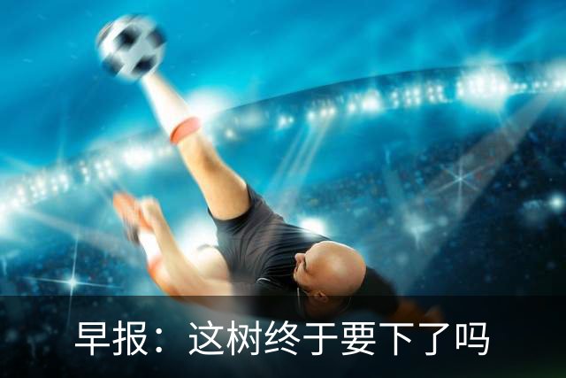 早报：这树终于要下了吗