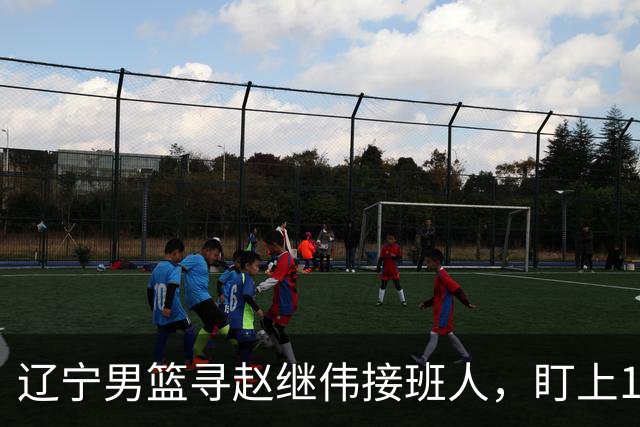 辽宁男篮寻赵继伟接班人，盯上12+3新星，与多队竞争，山东千万挖王岚嵚